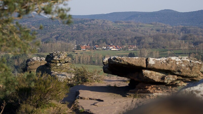 Zemljevid