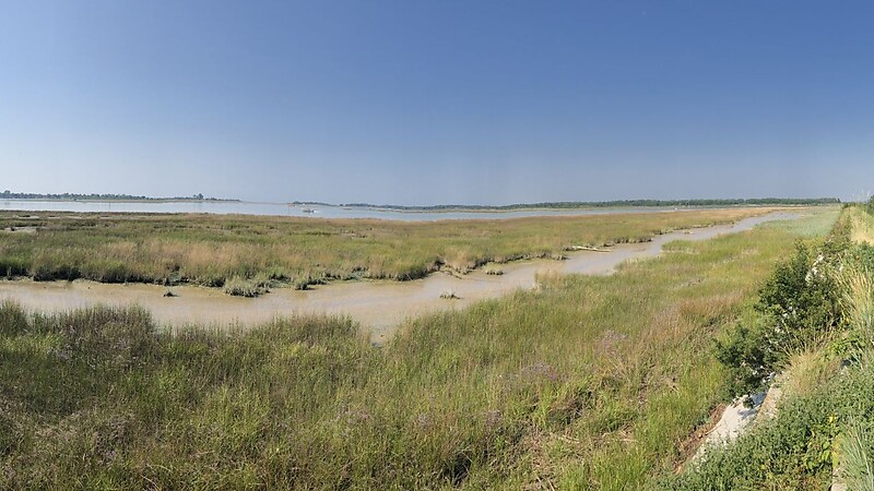 Zemljevid