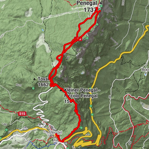 Mendelpass - Penegal