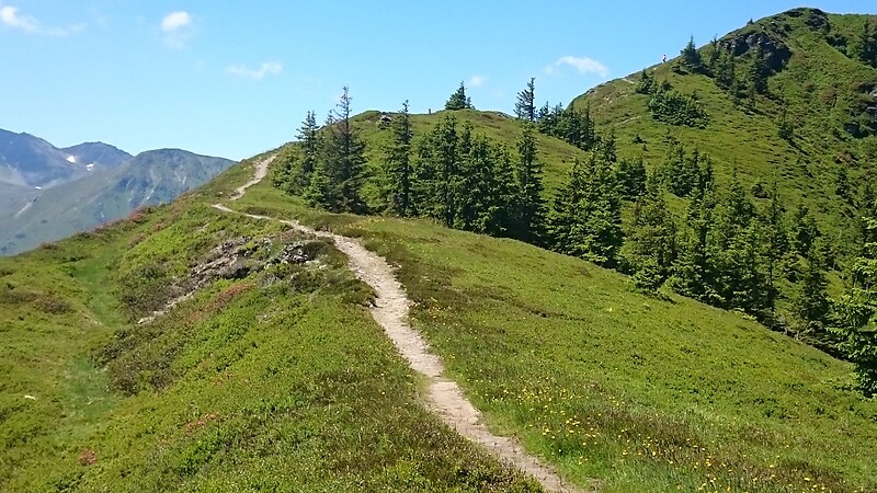 Zemljevid