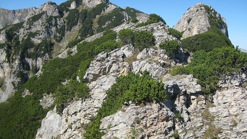 Zemljevid