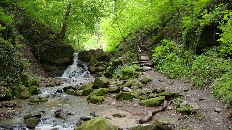 Zemljevid