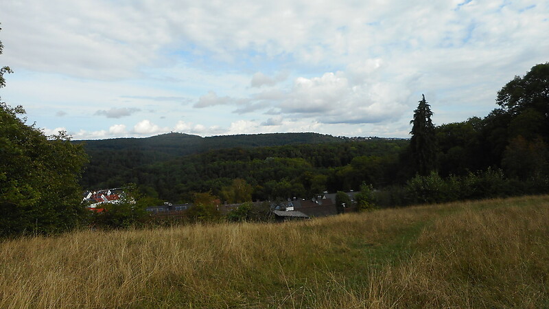 Zemljevid
