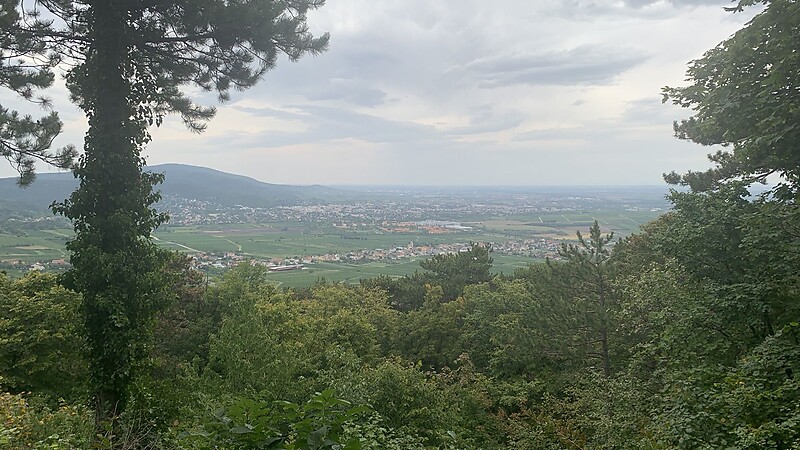 Zemljevid