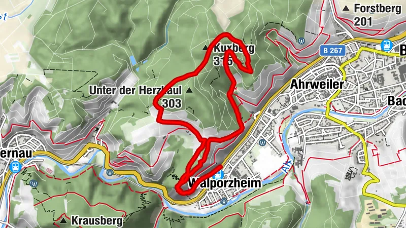 Traubenpfad No. 1 - The Little Walporzheim Route