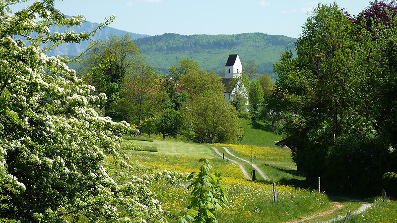 Zemljevid