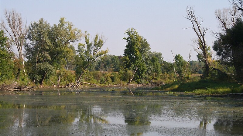 Zemljevid