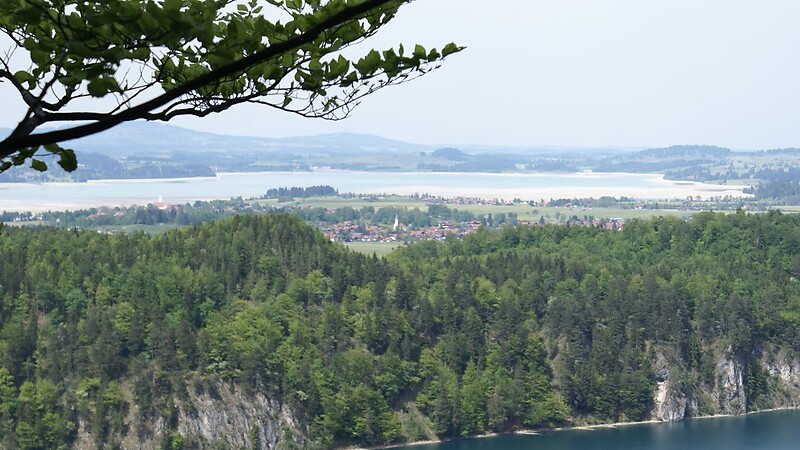 Zemljevid