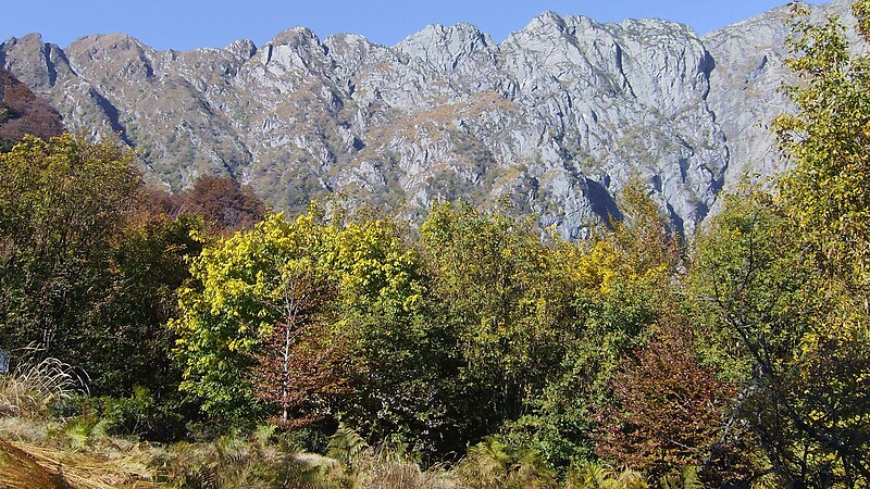 Zemljevid