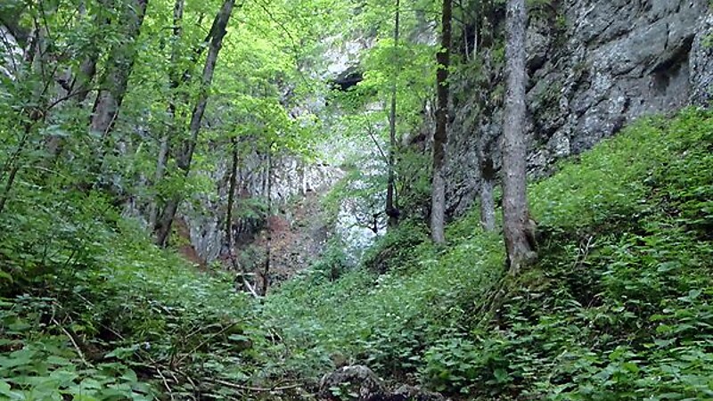 Zemljevid