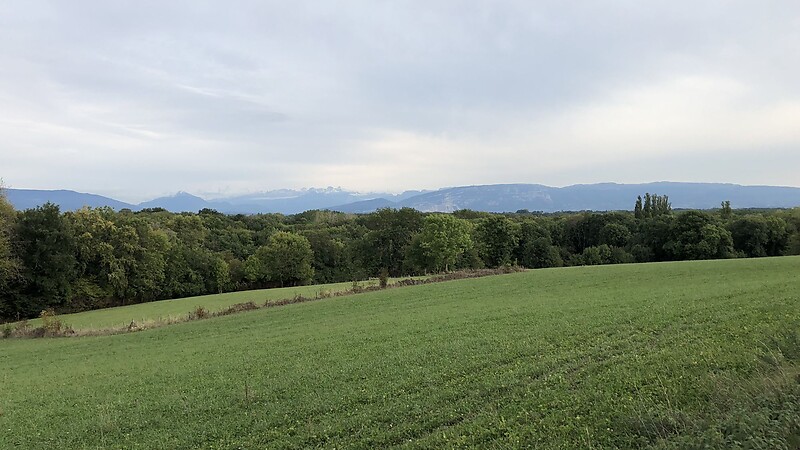 Zemljevid
