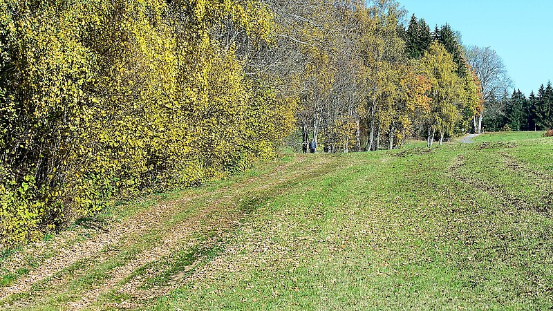 Zemljevid