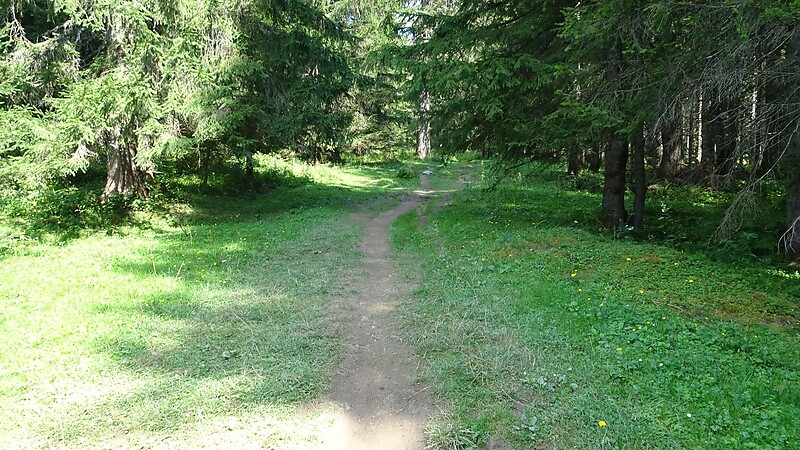 Zemljevid
