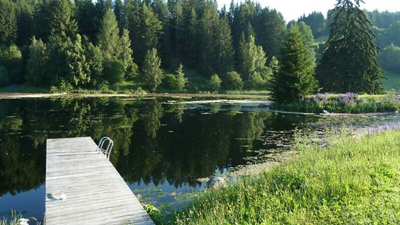 Zemljevid