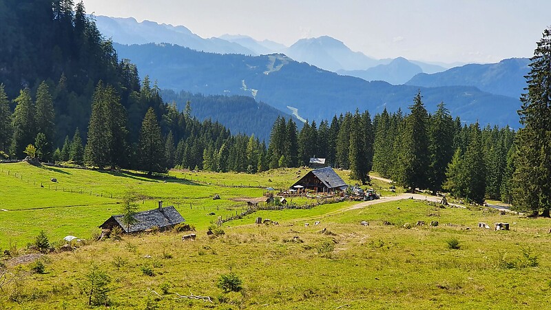 Zemljevid