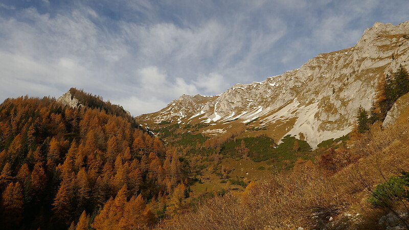 Zemljevid