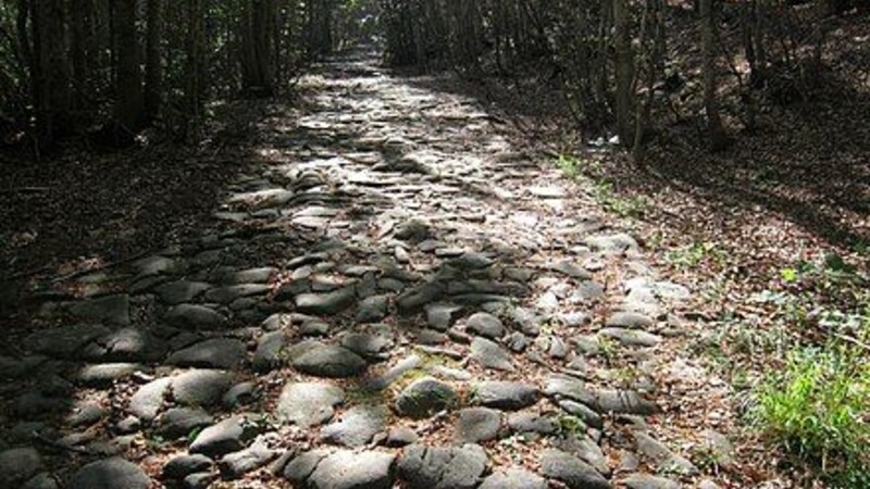 Zemljevid