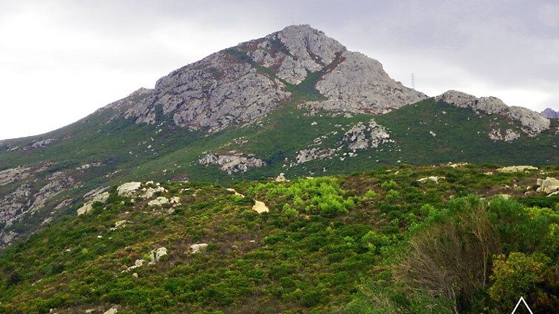 Zemljevid