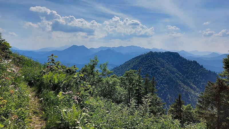 Zemljevid