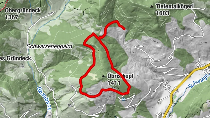 Around the Öbristköpfl / Wagrainer Alm (55,453)