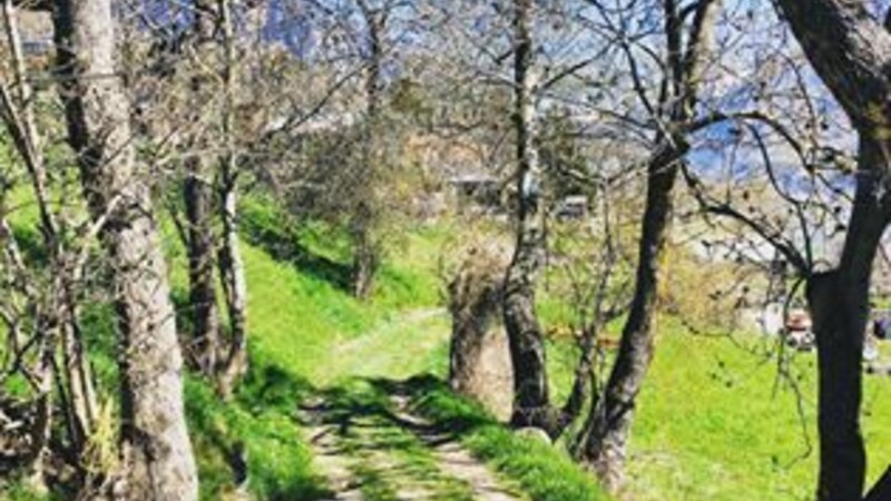 Zemljevid