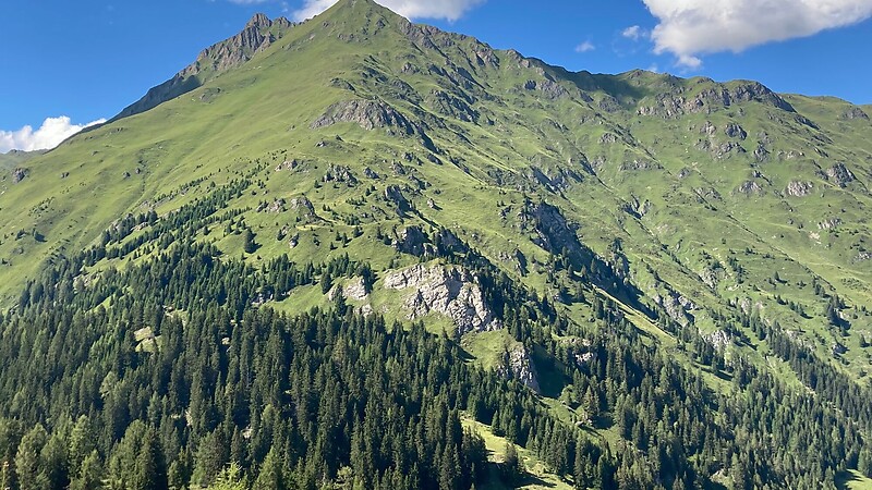 Zemljevid
